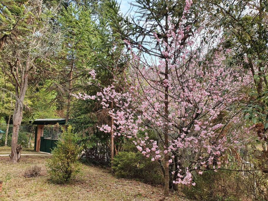 הוילה Campos do Jordão Casa Da Nanna Campos מראה חיצוני תמונה